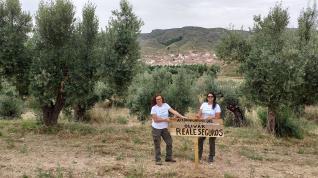 Montse y Claudia trabajan en las labores de mantenimiento del ‘Olivar Reale’, en la localidad turolense de Oliete.