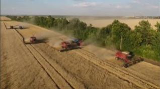 La guerra en Ucrania ya provoca un aumento del precio de los cereales