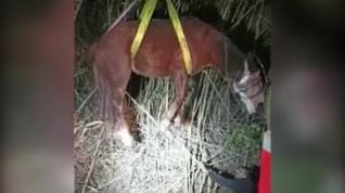 Rescate de un caballo en Alcañiz