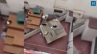 Denuncian el abandono de una veintena de gatos en un edifico de la Cesáreo Alierta de Zaragoza