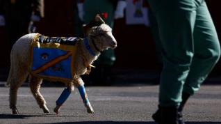 ¿Cabra o borrego? Los memes de la mascota de la Legión en el desfile del 12 de octubre