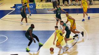 gran canaria lobe huesca