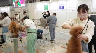 Los productos más novedosos para las mascotas llegan a Interpets en Japón