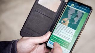 Chatbot del proyecto de ciencia ciudadana CoAct