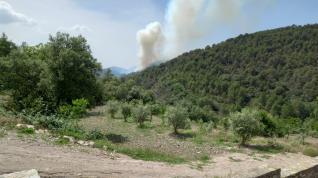 Incendio en el pinar de Trillo.