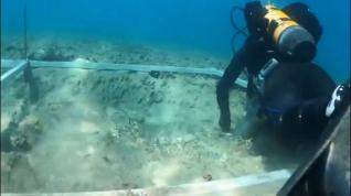 Se descubren restos de una 'carretera' del 4.900 A.C. bajo el mar Adriático