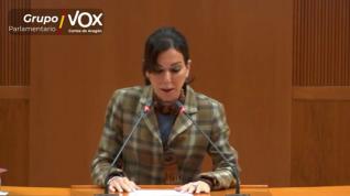 Vox se queda solo en su intento por derogar la Ley Trans de Aragón