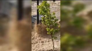 Vídeo: pánico sobre un coche en Puerto Venecia