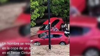 Un hombre se encarama a un árbol para evitar que le arrastre el agua en Zaragoza