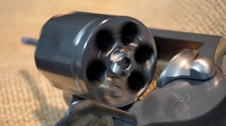 colt-5102473_1280