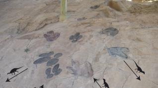 Cruce de rastros de las huellas de dinosaurios