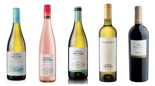 Cinco vinos de Viñas del Vero, de la D. O. Somontano.