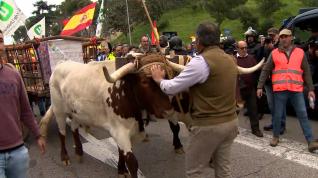 Momentos de tensión en Madrid entre agricultores y policías