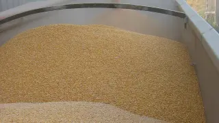 Carga de grano en un silo