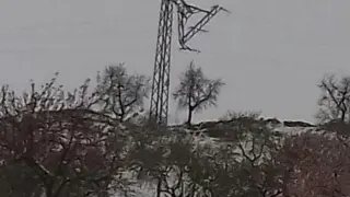 El temporal causa la rotura de 25 postes de luz de la línea Calatayud-Montón. En la imagen, un poste roto por el peso de la nieve en Alarba.