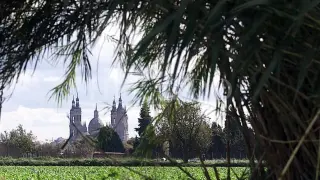 Vista de la Basílica del Pilar de Zaragoza desde el meandro de Ranillas