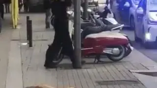 El perro abatido por un agente de la Guardia Urbana de Barcelona.