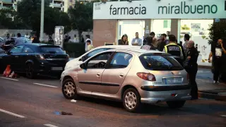 El ataque se ha producido a la altura del 125 del camino del Pilón de Zaragoza