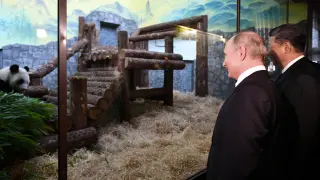 Russian President Vladimir Putin and Chinese President Xi Jinping visit the Moscow Zoo, which received a pair of giant pandas from China, in Moscow, Russia June 5, 2019. Sputnik/Alexander Vilf/Kremlin via REUTERS ATTENTION EDITORS - THIS IMAGE WAS PROVIDED BY A THIRD PARTY. [[[REUTERS VOCENTO]]] RUSSIA-CHINA/XI-PUTIN-ZOO
