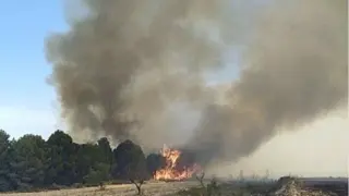 El fuego de este lunes que ha afectado a municipios de Tarragona, Zaragoza y Teruel.
