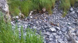 Residuos en el valle de Bujaruelo.
