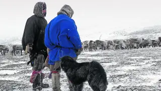Los nénets son una de las últimas tribus de esquimales que aún pastorean sus rebaños de renos.