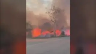 Son 9.000 Incendios que llegan al borde de carreteras como esta y ante los que el estado brasileño no tiene recursos. Para los ecologistas lo que está pasando está claro. Los agricultores prenden fuegos para limpiar terrenos aprovechando que no hay multas.