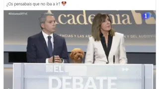 Polémica en Twitter por un meme del perro Lucas, el "arma secreta" de Rivera en el debate
