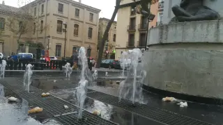Las palomas son un problema en la plaza de Santo Domingo.