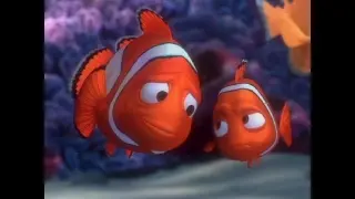 Nemo, con su padre, en un fotograma de la película 'Buscando a Nemo'.