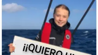 Los memes de Greta Thunberg antes de su llegada a la Cumbre del Clima de Madrid