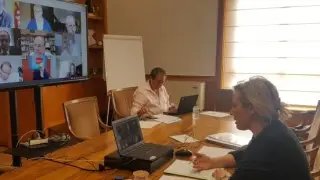 Reunión telemática de la consejera Gastón con economistas expertos.