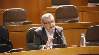 El rector José Anonio Mayoral, este jueves en la Cortes de Aragón.