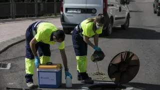 Dos trabajadores durante la recogida de muestras de aguas fecales en una alcantarilla del Miguel Sevet, este jueves.
