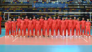 Selección española masculina de voleibol.
