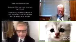 "No soy un gato": el hilarante juicio en el que Zoom juega una mala pasada a un abogado