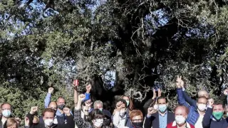 Vecinos de Lecina y su entorno celebran que su carrasca milenaria haya sido elegida Árbol Europeo del Año 2021.