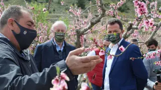 Vicente del Bosque y el alcalde, Alberto Herrero, atienden a las explicaciones sobre la floración del Melocotón de Calanda.