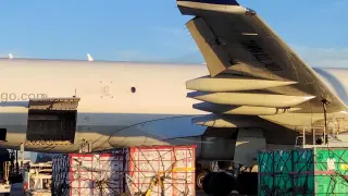 Un avión de Tampa Cargo en el aeropuerto de Zaragoza