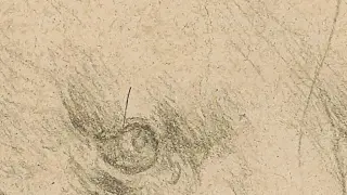 Leonardo da Vinci's "Head of a bear" drawing
