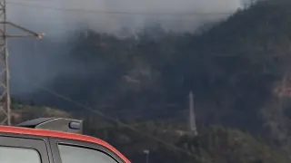 El incendio forestal declarado el jueves en el municipio tinerfeño de Arico ha avanzado durante la noche hasta afectar 2.800 hectáreas