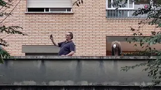 El 'selfie' del vecino con el buitre posado en el balcón.