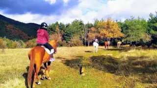 Una propuesta para este otoño: paseos a lomos de un caballo.