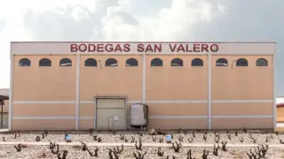 Bodegas San Valero ha terminado la vendimia con una muy buena calidad de uva.