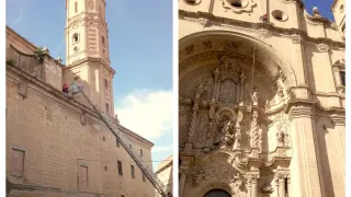 Retirada de los nidos de la iglesia de Santa María La Mayor de Alcañiz