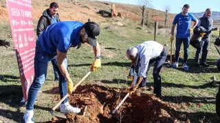 El proyecto de reforestación impulsado por la Fundación Alcoraz e ICT se ha estrena con la plantación de 500 árboles en Calamocha, con la colaboración del CV Teruel