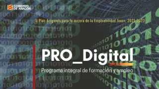 Pro-Digital, incluido en el actual Plan Aragonés para la Mejora de la Empleabilidad Joven.