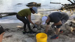 Voluntarios recogen colillas en una playa de Florida, Estados Unidos.