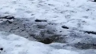 El camino de la Cola de Caballo de Ordesa, cubierto de hielo y nieve.