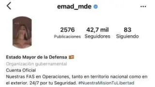 Captura de imagen del perfil de instagram de la cuenta del EMAD